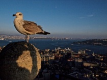 Istanbul - Bosphore
